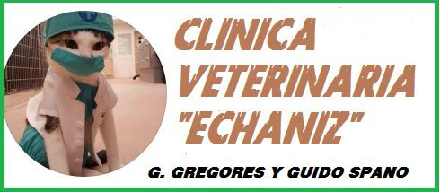 CLINICA VETERINARIA ECHANIZ