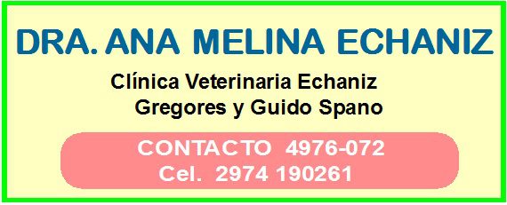 DRA. MELINA ECHANIZ (VETERINARIA)