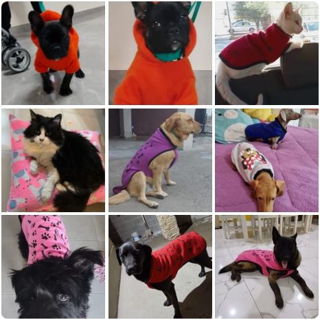 TERE RIQUELME - ROPA PARA MASCOTAS