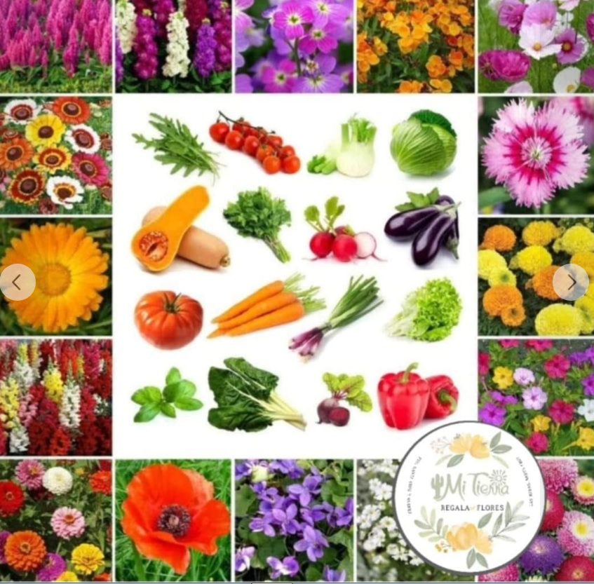 "MI TIERRA" - VIVERO Y FLORERIA -
