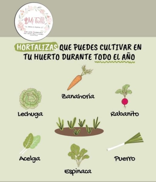 "MI TIERRA" - VIVERO Y FLORERIA -